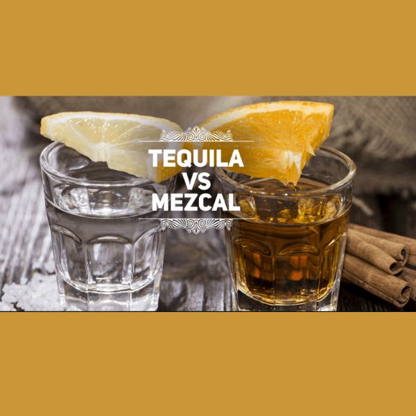 Tequila & Mezcal ~ The Healthier Spirits & Andrea's Magical Journey
