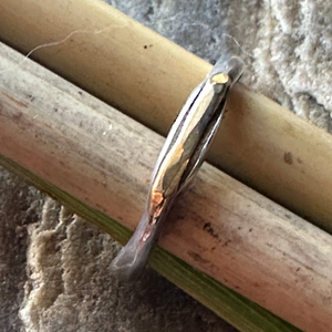 Ashwater Ring by David Tishbi Objects of Beauty 