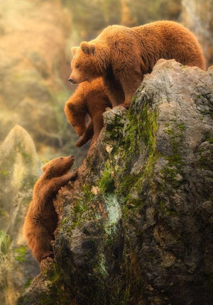 Carved Bear Pendant Necklace | Spirit Animal Collection Pendant Necklace Objects of Beauty Southwest 