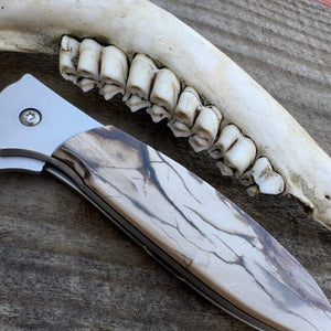 Fossilized Woolly Mammoth Kershaw Leek w Plain Blade in Ivory & Grey | Yellowstone Spirit and Spirit Animal Collection Collectible Knives Santa Fe Stoneworks 