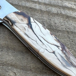 Fossilized Woolly Mammoth Kershaw Leek w Plain Blade in Ivory & Grey | Yellowstone Spirit and Spirit Animal Collection Collectible Knives Santa Fe Stoneworks 