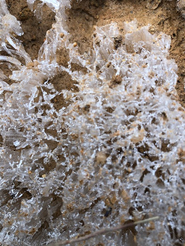 Hoarfrost In the Blue Ridge Mountains Leatherwood Mountains