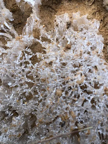 Hoarfrost In the Blue Ridge Mountains Leatherwood Mountains