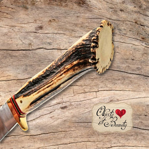 Stag Antler w Crown & Upsweep Stainless Steel Blade 10.5" Hunting Knife | Yellowstone Spirit Southwestern and Spirit Animal Collections Hunting & Survival Knife Objects of Beauty Southwest 