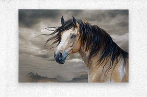 Tallulah Blue Eyed Buckskin | Andrea Record Fine Art | Yellowstone Spirit Southwestern Collection artwork Objects Of Beauty Southwest Brushed Metal Print 12x8inches (31x21cm) 