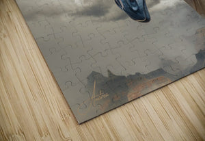 Tallulah Blue Eyed Buckskin Objects of Beauty 