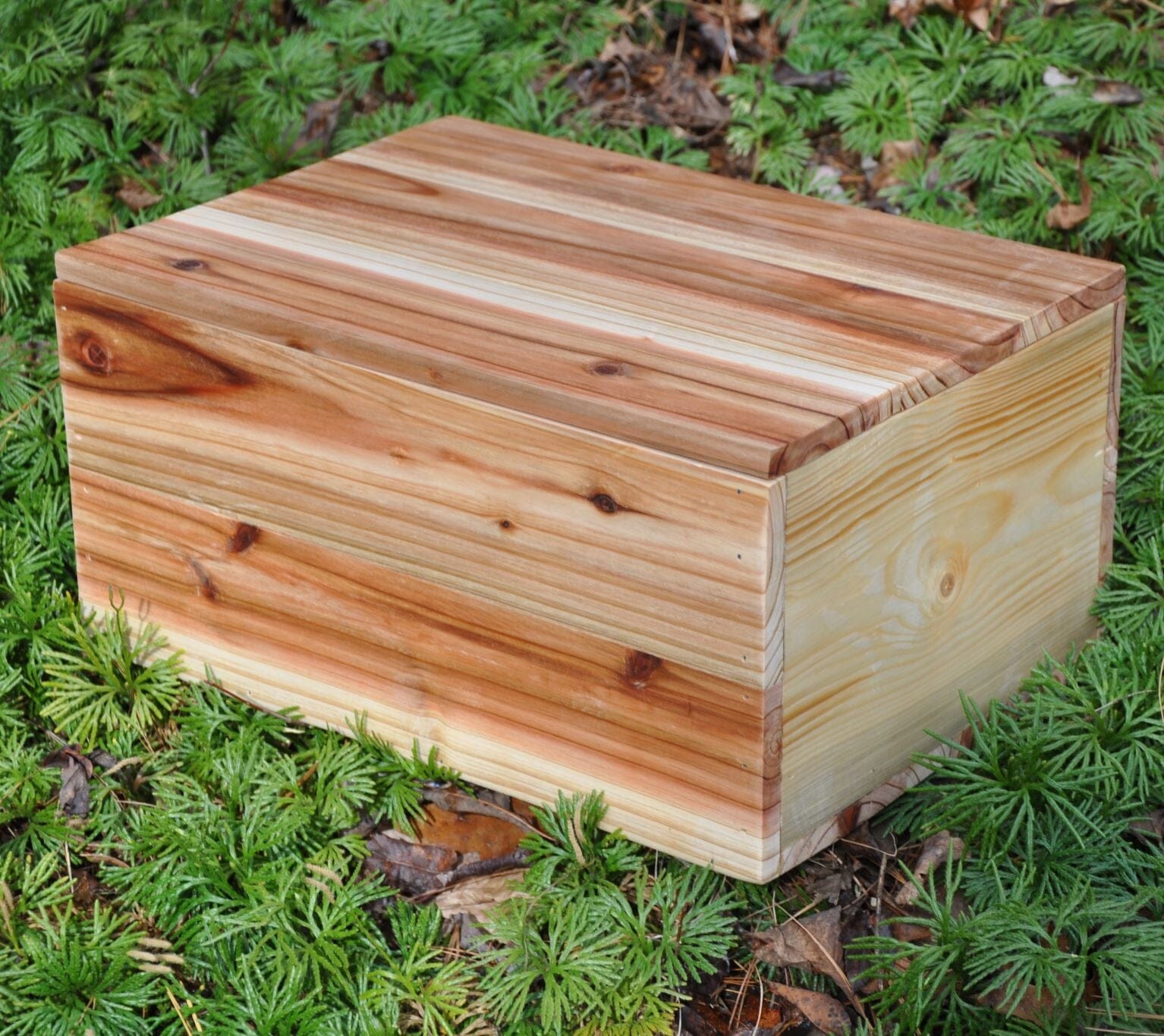 Handmade Rustic Cedar Box | Yellowstone Collection Wooden Box Chest Perry Eury 