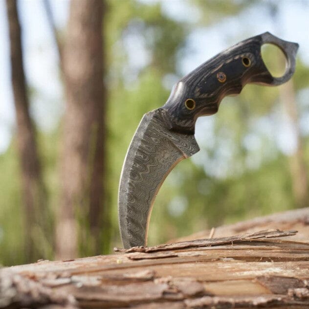 Ishi Walnut Damascus Curved Blade Hunting Knife